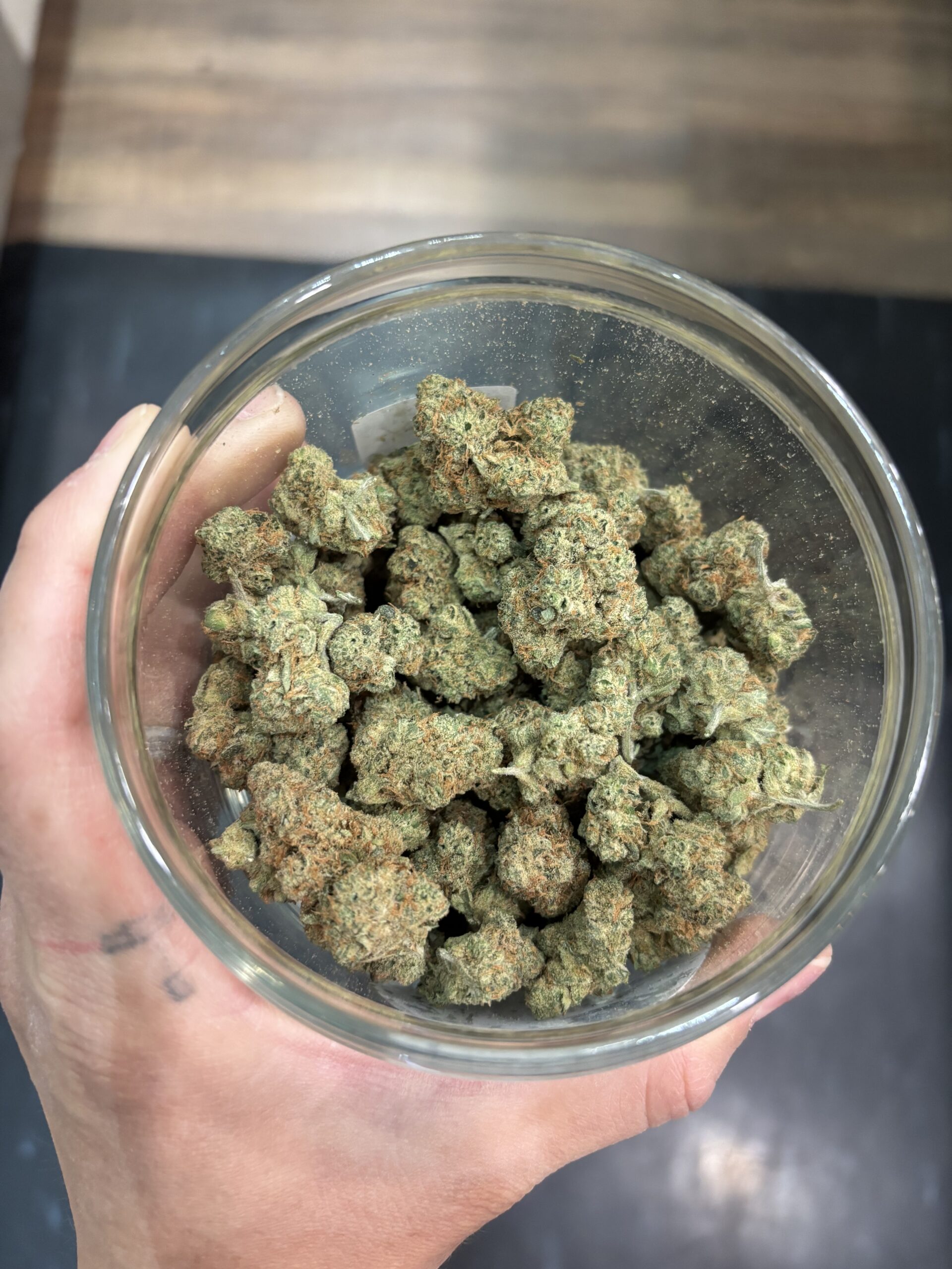 Stardawg (2441)