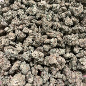 Jungle Cake (8296)