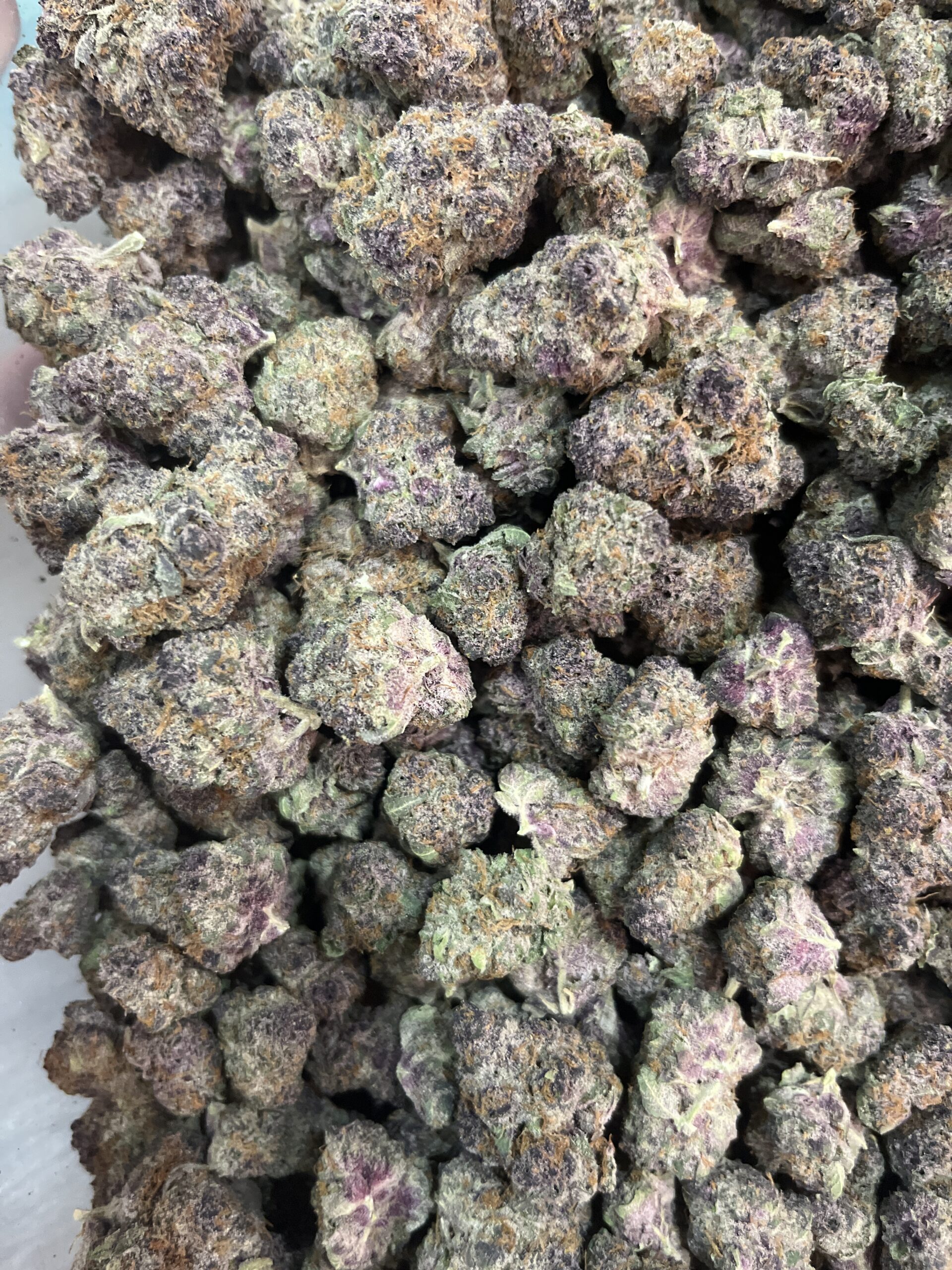 Real Trop Cherry cannabis flower at High Country Healing Vail