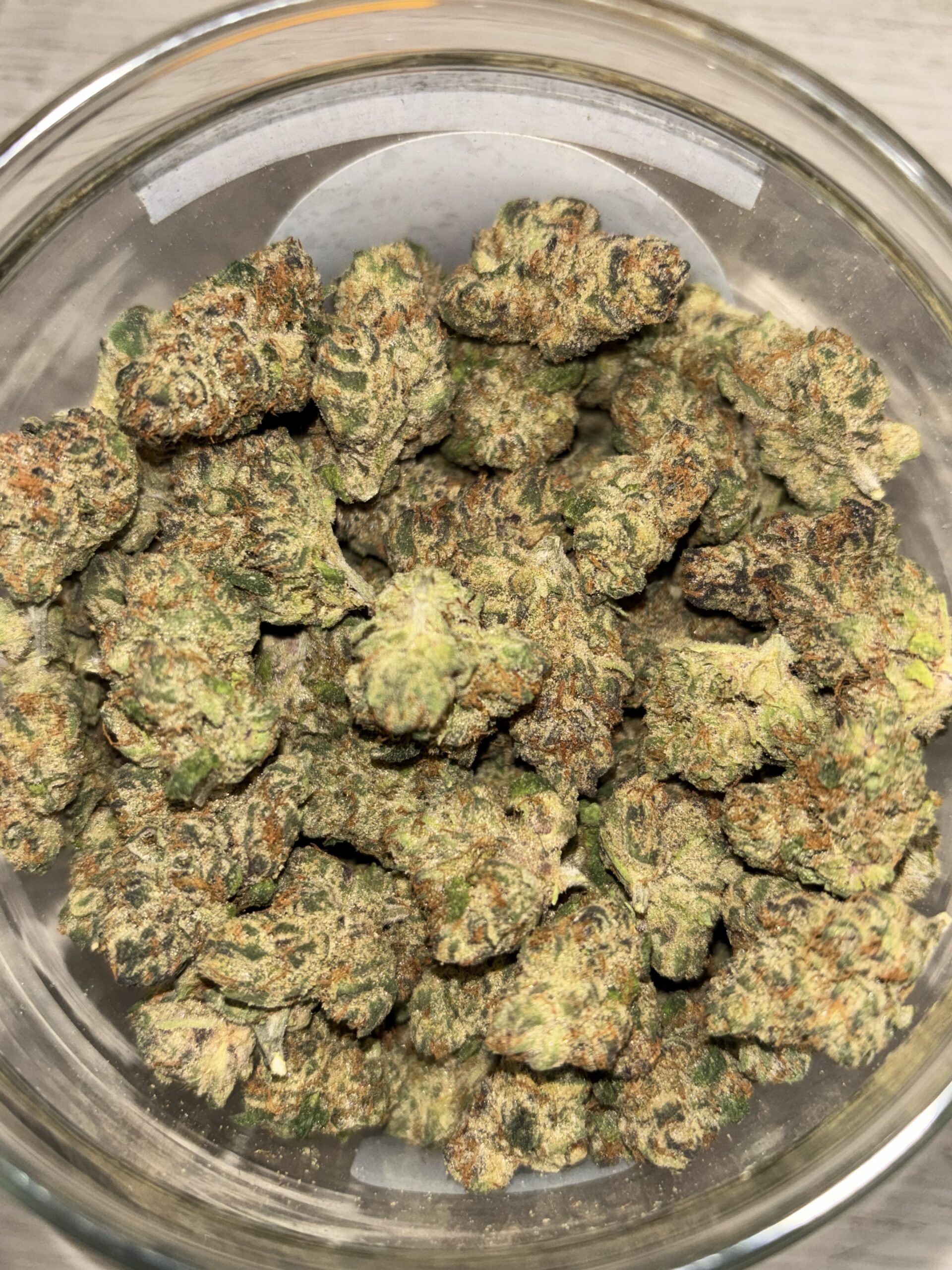 Papaya Melonz (2812)