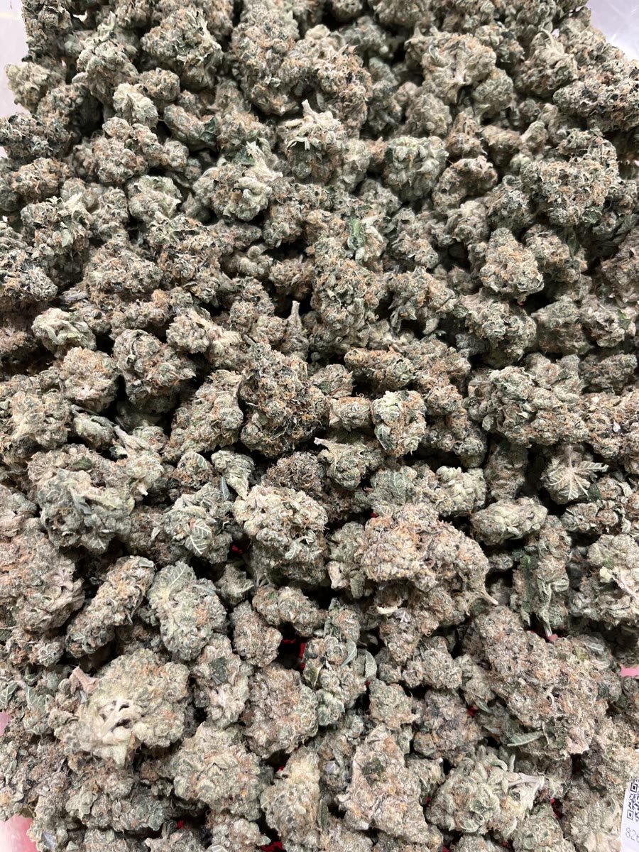 Real Jungle Cake flower with pale trichomes and orange-brown pistils